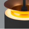Подвесной светодиодный светильник Elektrostandard DLS021 9+4W 4200К черный матовый/золото