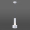 Накладной потолочный светодиодный светильник Elektrostandard DLR033 белый