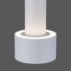 Накладной потолочный светодиодный светильник Elektrostandard DLR033 белый