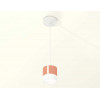 Комплект подвесного светильника Ambrella light Techno Spot XP (A2331, C8122,N8401) XP8122025