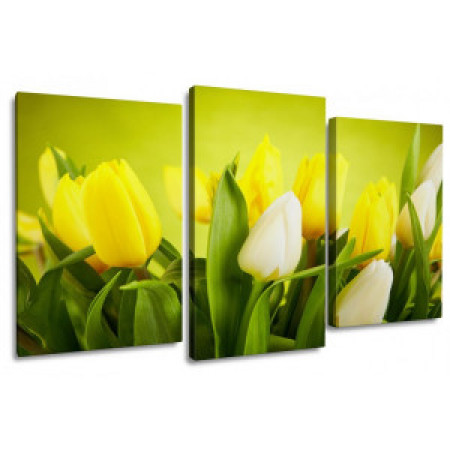 Модульная картина "Белые тюльпаны в букете с желтыми" 100Х60 S293