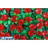 Светильник садово-парковый на солнечной батарее "цветочный шар", красный, 20 led (белый ), d 28 см e5209