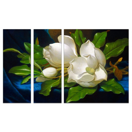 Модульная картина "Дикая белая роза" из 3х частей 80х140 VJ82
