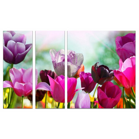 Модульная картина "Пестрые тюльпаны" из 3х частей 80х140 VJ753