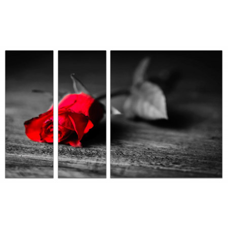 Модульная картина "Ярко-красная роза" из 3х частей 80х140 VJ743