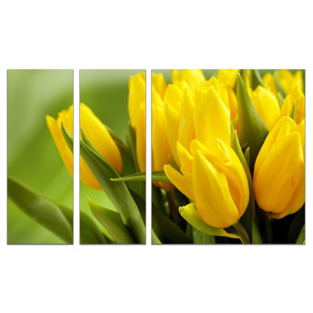 Модульная картина "Букет из желтых тюльпанов" из 3х частей 80х140 VJ741