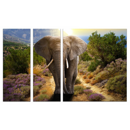 Модульные картины из 3х частей "Слон в горах"  80х140 VJ732