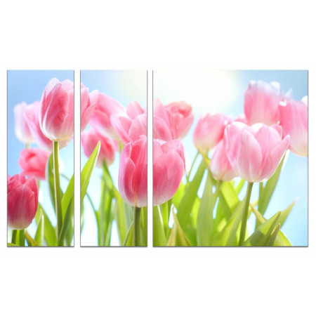 Модульная картина "Нежные тюльпаны" из 3х частей 80х140 VJ699