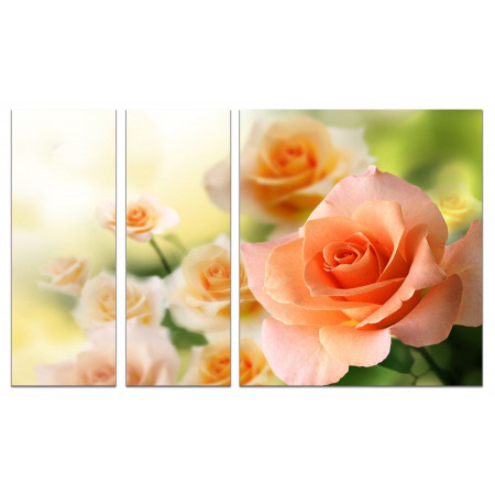 Модульная картина "Чайные розы" из 3х частей 80х140 VJ694