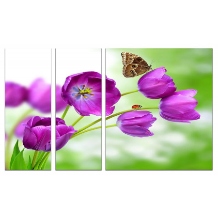 Модульная картина "Бабочка на фиолетовых тюльпанах" из 3х частей 80х140 VJ685