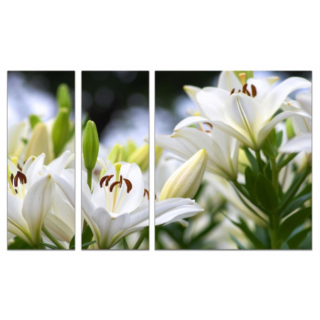 Модульная картина "Белые лилии" из 3х частей 80х140 VJ680