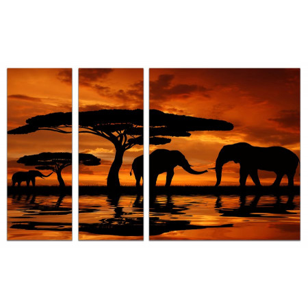 Модульные картины из 3х частей "Слоны на закате"  80х140 VJ646