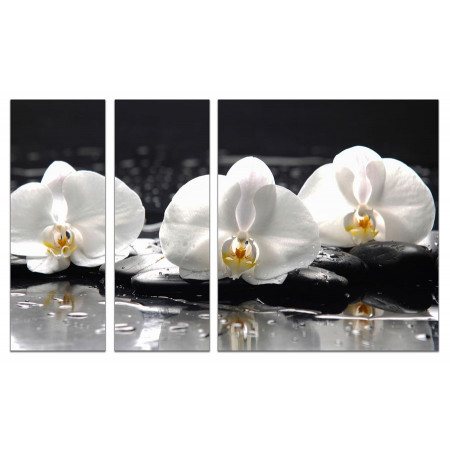 Модульная картина "Белые орхидеи на черных камнях" из 3х частей 80х140 VJ608