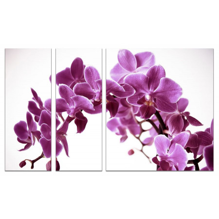 Модульная картина "Арка из орхидей" из 3х частей 80х140 VJ606