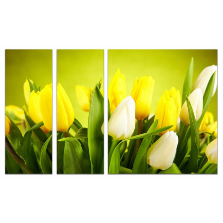 Модульная картина "Белые тюльпаны в букете с желтыми" из 3х частей 80х140 VJ601