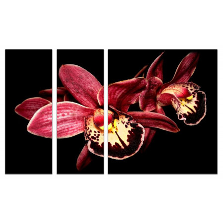 Модульная картина "Бордовая орхидея" из 3х частей 80х140 VJ426