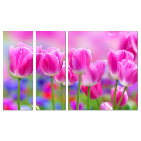 Модульная картина "Розовые тюльпаны" из 3х частей 80х140 VJ423