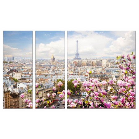 Модульная картина "Весна в Париже" из 3х частей 80х140 VJ389