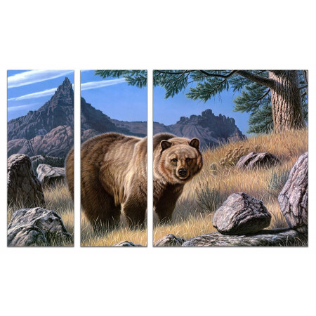 Модульные картины из 3х частей "Медведь в горах" 80х140 VJ375
