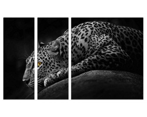 Модульная картина "Белый леопард" из 3х частей 80х140 VJ354