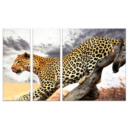 Модульная картина "Леопард на охоте" из 3х частей 80х140 VJ319