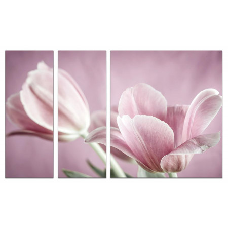 Модульная картина "Бледно-розовые тюльпаны" из 3х частей 80х140 VJ318