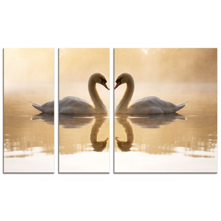 Модульная картина "Лебеди на рассвете" из 3х частей 100х60 VS775