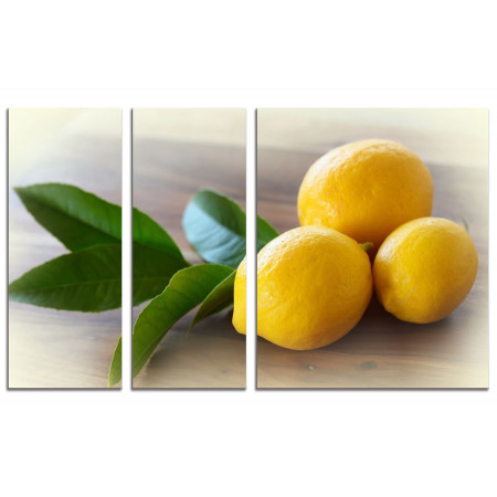 Модульная картина "Яркие лимоны" из 3х частей 100х60 VS762