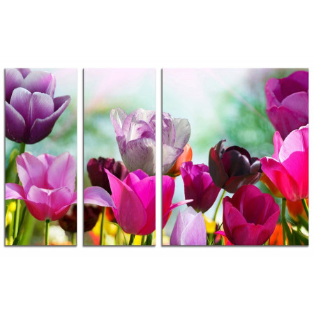Модульная картина "Пестрые тюльпаны" из 3х частей 100х60 VS753
