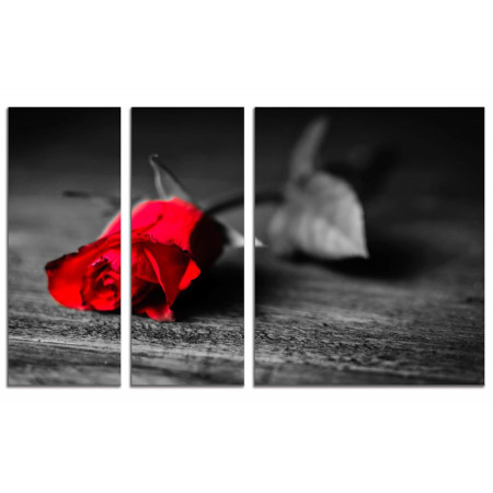 Модульная картина "Ярко-красная роза" из 3х частей 100х60 VS743