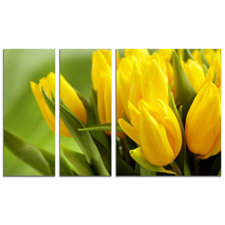 Модульная картина "Букет из желтых тюльпанов" из 3х частей 100х60 VS741