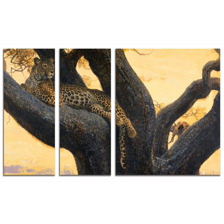 Модульная картина "Леопард на закате" из 3х частей 100х60 VS740