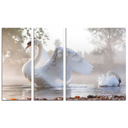 Модульная картина "Царевна-Лебедь" из 3х частей 100х60 VS733
