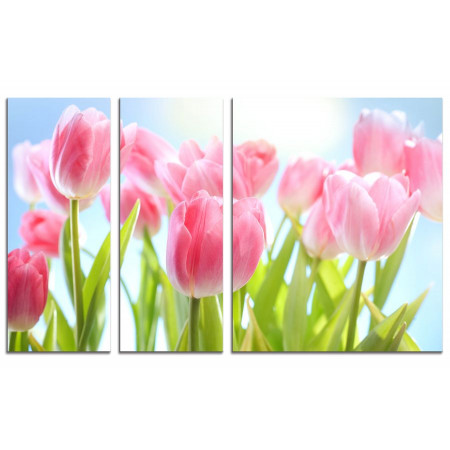 Модульная картина "Нежные тюльпаны" из 3х частей 100х60 VS699