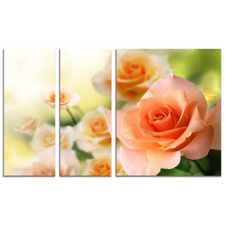 Модульная картина "Чайные розы" из 3х частей 100х60 VS694