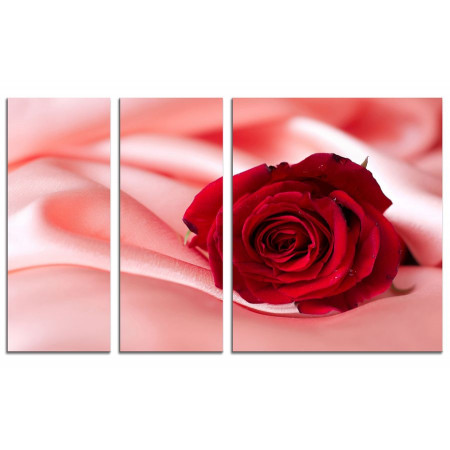 Модульная картина "Красная роза и розовый шелк" из 3х частей 100х60 VS690