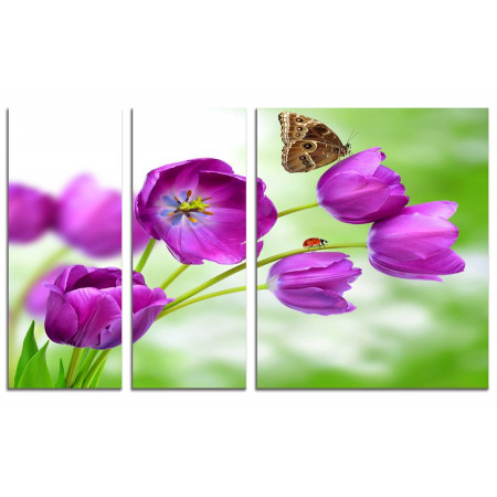 Модульная картина "Бабочка на фиолетовых тюльпанах" из 3х частей 100х60 VS685