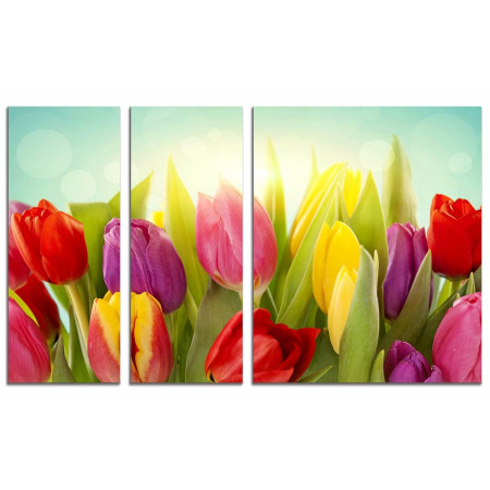 Модульная картина "Волнующие тюльпаны" из 3х частей 100х60 VS654