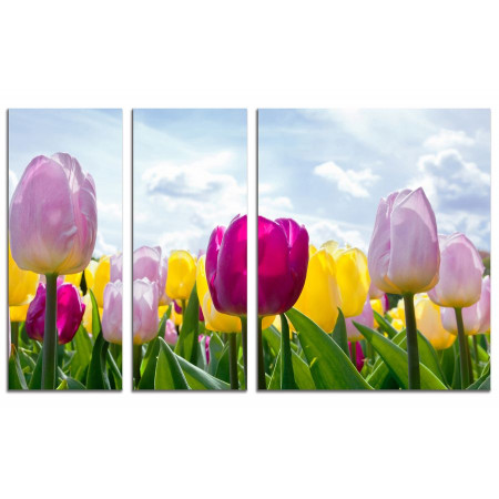 Модульная картина "Весеннее настроение тюльпанов" из 3х частей 100х60 VS610