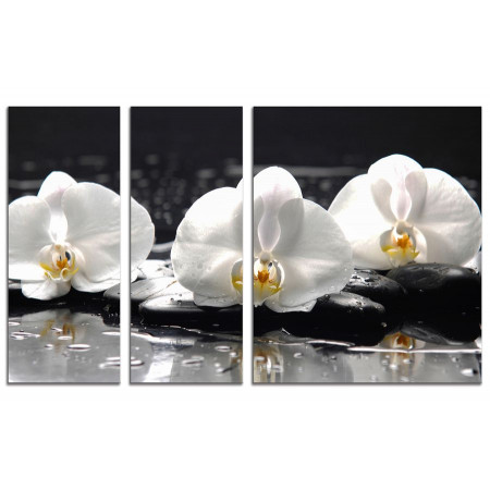 Модульная картина "Белые орхидеи на черных камнях" из 3х частей 100х60 VS608