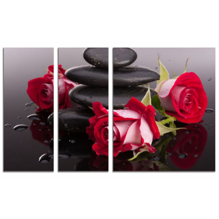 Модульная картина "Розы и камни" из 3х частей 100х60 VS607