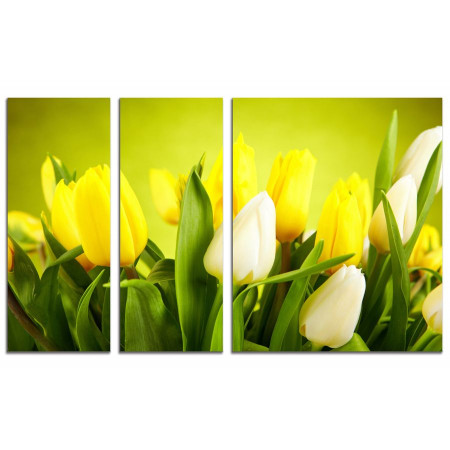 Модульная картина "Белые тюльпаны в букете с желтыми" из 3х частей 100х60 VS601