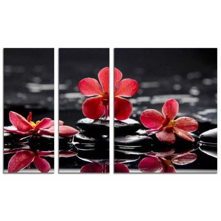 Модульные картины из 3х частей "Красные орхидеи на воде" 100х60 VS584
