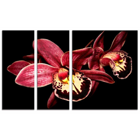 Модульная картина "Бордовая орхидея" из 3х частей 100х60 VS426