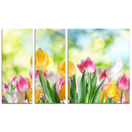 Модульная картина "Радуга из тюльпанов" из 3х частей 100х60 VS424