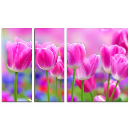 Модульная картина "Розовые тюльпаны" из 3х частей 100х60 VS423