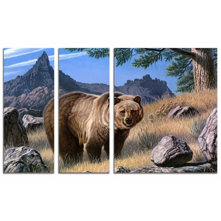 Модульные картины из 3х частей" Медведь в горах"  100х60 VS375