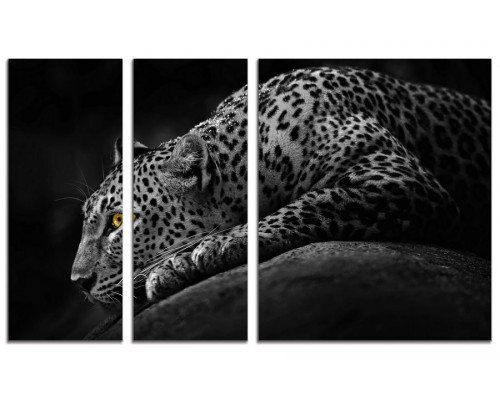 Модульная картина "Белый леопард" из 3х частей 100х60 VS354