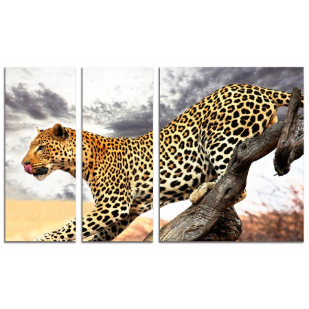 Модульная картина "Леопард на охоте" из 3х частей 100х60 VS319