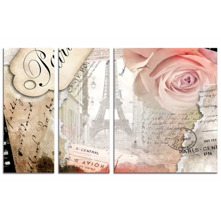 Модульная картина "Розы и Париж" из 3х частей 100х60 VS200